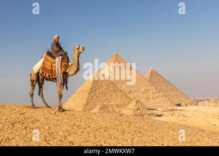 Pyramiden von Gizeh mit Kamel bei Sonnenuntergang, Kairo, Ägypten Stockfoto