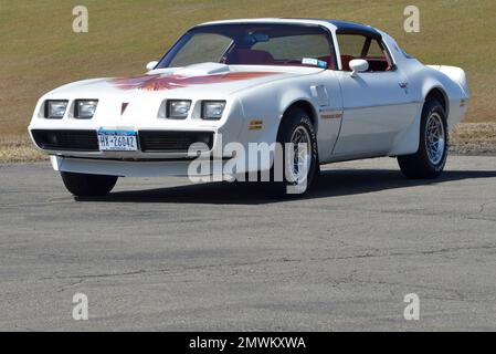 Weißer 1979 Pontiac Trans am in Dreiviertelansicht vor grünem Hintergrund in heller Sonne. Stockfoto