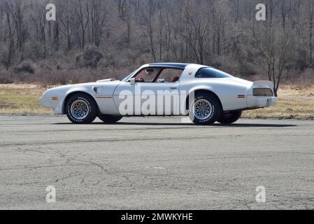 Weißer 1979 Pontiac Trans am in einem niedrigen Dreiviertelblick hinter den Winterbäumen in der hellen Sonne. Stockfoto