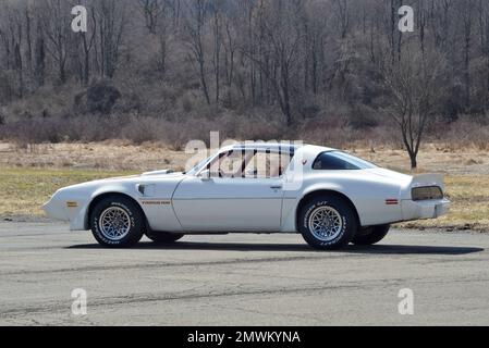 Weißer 1979 Pontiac Trans am in einem Dreiviertelblick von hinten vor den Winterbäumen in der hellen Sonne. Stockfoto