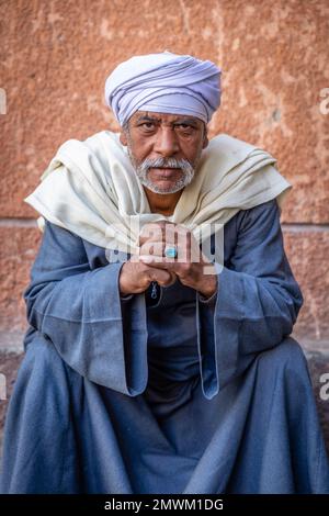 Ägyptischer Schäferhund in den Straßen von Luxor, Ägypten Stockfoto