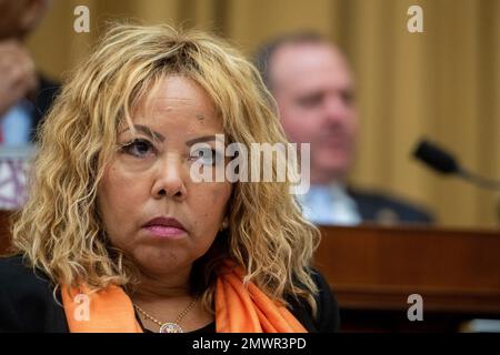 Die Vertreterin der Vereinigten Staaten Lucy McBath (Demokrat von Georgien) nimmt am Mittwoch, den 1. Februar, an einer Anhörung des House Committee on the Judiciary Hearing „The Biden Border Crisis: Part I“ im Rayburn House Office Building in Washington, DC, USA Teil. 2023. Foto von Rod Lamkey/CNP/ABACAPRESS.COM Stockfoto