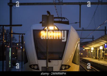 ZWOLLE - Züge von Arriva sind am Bahnhof Zwolle während eines Streiks mit regionalen Verkehrsmitteln arbeitslos. Der regionale Schienenverkehr von Arriva streikt im Osten und Norden des Landes, um ihre Tarifverträge für höhere Gehälter und eine geringere Arbeitsbelastung zu verstärken. ANP VINCENT JANNINK niederlande raus - belgien raus Stockfoto