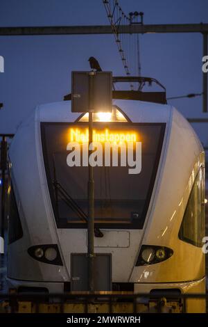 ZWOLLE - Züge von Arriva sind am Bahnhof Zwolle während eines Streiks mit regionalen Verkehrsmitteln arbeitslos. Der regionale Schienenverkehr von Arriva streikt im Osten und Norden des Landes, um ihre Tarifverträge für höhere Gehälter und eine geringere Arbeitsbelastung zu verstärken. ANP VINCENT JANNINK niederlande raus - belgien raus Stockfoto