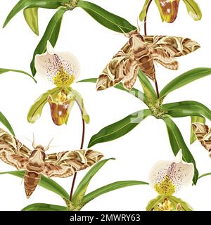 Nahtloses tropisches Muster mit paphiopedilum-Orchidee oder Venus-Slipper-Orchidee und Motte, Schmetterling, exotischen Insekten. Stock Vektor