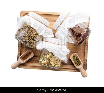 Verschiedene Samensprossen wachsen zu Hause in Glasgefäßen, gesunde vitaminreiche Lebensmittel Snack. Luzerne oder Alfalfa, Mungbohnensprossen, Brokkolisprossen. Stockfoto