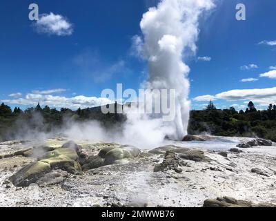 Titel Rotorua geothermische heiße Quellen Geysire ausbrechen und Thermalschlammbecken, Nordinsel, Neuseeland Stockfoto