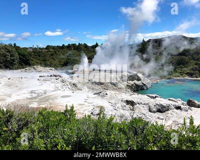 Titel Rotorua geothermische heiße Quellen Geysire ausbrechen und Thermalschlammbecken, Nordinsel, Neuseeland Stockfoto