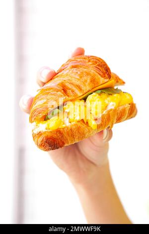 Hand mit einem Frühstücks-Brioche-Croissant-Sandwich mit Rührei-Füllkäse und Raketenblatt. Stockfoto