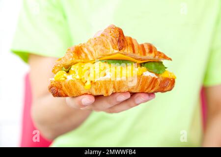 Hand mit einem Frühstücks-Brioche-Croissant-Sandwich mit Rührei-Füllkäse und Raketenblatt. Stockfoto