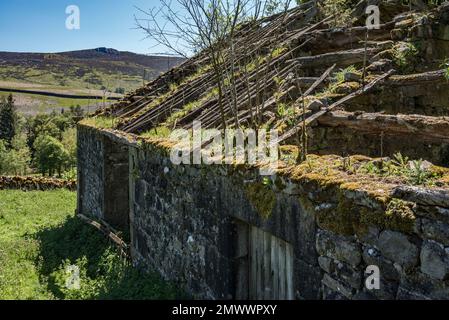 Eine Scheune in der Nähe von Parcevall Hall hat kein Dach mehr. Die Halle und ihre Gärten befinden sich in Skyreholme in der Nähe von Appletreewick Village, North Yorks. Stockfoto