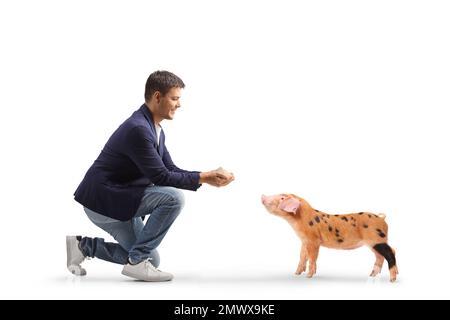 Profilaufnahme über die gesamte Länge eines Mannes, der kniet und ein Ferkel füttert, isoliert auf weißem Hintergrund Stockfoto