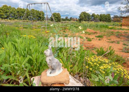 Das ehemalige Westview Drive-in in Dubbo im Westen von New South Wales, Australien, wurde an dem Tag im September 2022 aufgenommen, als die Scheibe demontiert wurde Stockfoto