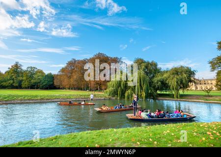 Touristen auf einer Punttour entlang des Flusses Cam. Cambridge, England Stockfoto
