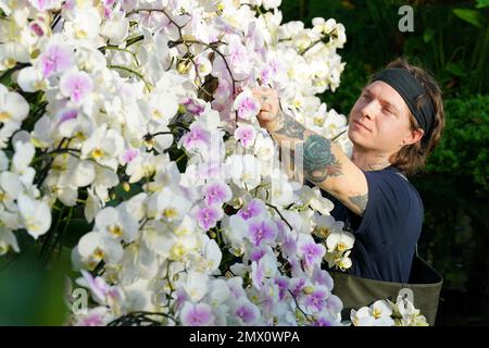 Kew Gärtner Charlie Hunt besucht eine Ausstellung beim Orchideenfestival im kamerunischen Stil im Princess of Wales Conservatory in den Royal Botanic Gardens in Kew, West London. Foto: Donnerstag, 2. Februar 2023. Stockfoto