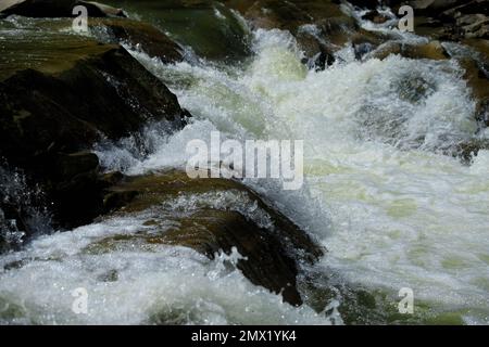 Stürmischer Fluss eines Bergflusses zwischen Steinen Stockfoto