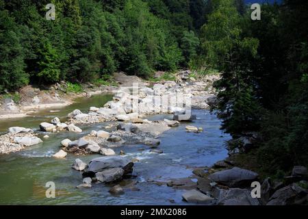 Fluss eines Bergflusses mit Steinen, zwischen Bergen und Bäumen Stockfoto