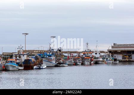 OLHAO, PORTUGAL - 11. DEZEMBER 2022: Traditionelle Fischerboote an den Docks der Stadt Olhao, Portugal. Stockfoto