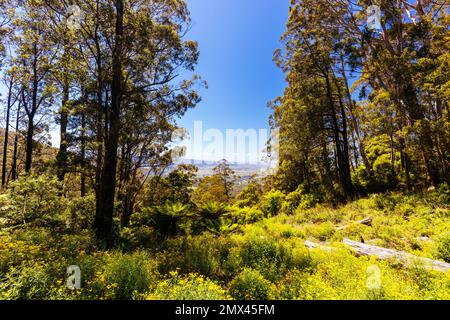 Fred Piper Memorial Aussichtspunkt in Australien Stockfoto