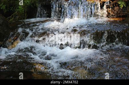 Wasserspritzer und Wassertropfen in einem kleinen Wasserfall auf einem Bergbach im Wald Stockfoto