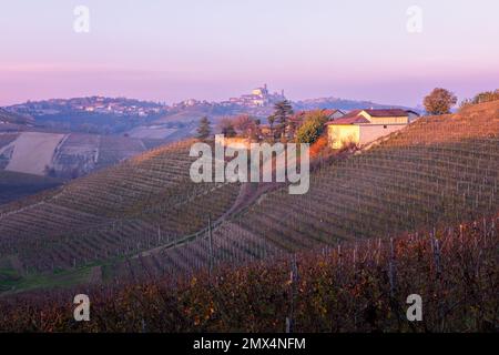 Weinberge in der Nähe von Canale, Piemont, Italien Stockfoto