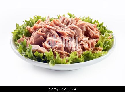 Köstliche Thunfischkonserven und frische grüne Salatblätter in der Schüssel als Zutaten des traditionellen deutschen Fischbrötchens Fischbrotchen Stockfoto