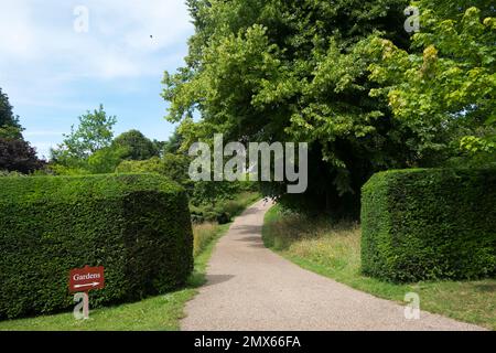 Ein Pfad, der durch die Bäume und langen Gräser zu den formellen Gärten von Arundel Castle, West Sussex, Großbritannien führt Stockfoto