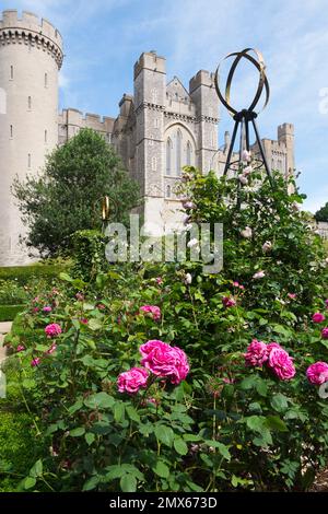 Wunderschöne, altmodische Rosen von Frau Isaac Péreiré, Prinzessin Anne und Gertrude Jekyll in der formellen Schachtel des Rosengartens im Schloss Arundel, Vereinigtes Königreich Stockfoto