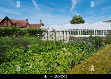 Borretsch und andere Kräuter und Gemüse, umgeben von formellen Hedging-Kisten neben dem Gewächshaus im viktorianischen Stil im Kitchen Garden, Arundel Castle, Großbritannien Stockfoto