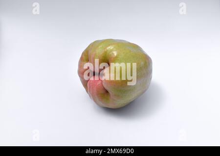 Frische Rosenäpfel oder Chomphu, isoliert auf weißem Hintergrund. Stockfoto