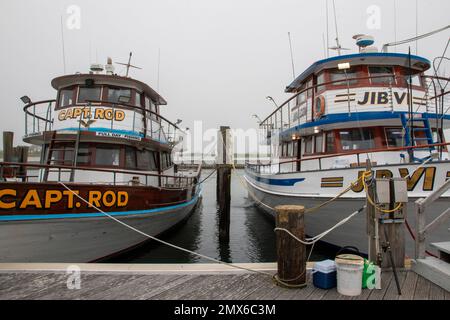 Bay Shore, New York, USA - 27. Mai 2022: Zwei Charterboote, die im Captree State Park vor Anker liegen, bereit für Angelausflüge. Stockfoto