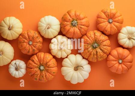 Halloween Hintergrund. Schwarm schwarzer Fledermäuse, Spinne, Kürbis und Blätter für Halloween. Schwarze Papier Fledermaus Silhouetten auf orangefarbenem Hintergrund. Herbstdekor Stockfoto