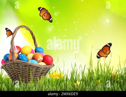 Ostereier im Korb auf grünem Gras und Schmetterlingen vor verschwommenem Hintergrund Stockfoto