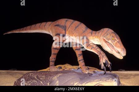 Lebensgroße animatronische Dinosaurier des amerikanischen Unternehmens Dinamation Corp auf der Ausstellung bei den „Dinosaurs Alive!“ Die Ausstellung im Alexandrea-Palast erfreuen Sie sich an der Besichtigung Stockfoto