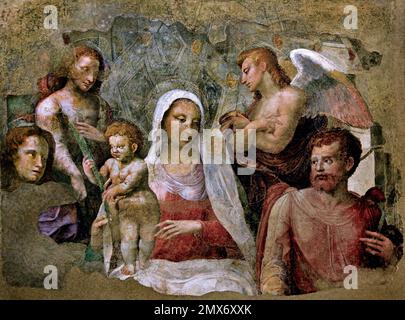 Madonna col Bambino Due Martiri e angeli - Madonna und Kind mit zwei Märtyrern und Engeln Bartolomeo Neroni, Riccio oder Riccio Sanese .1505-1571 Maler, Bildhauer, Architekt und Ingenieur der Sienesischen Schule, Metropolitanische Kathedrale der Heiligen Maria der Himmelfahrt - Duomo di Siena, 1215. Und 1348., 13. Jahrhundert, Toskana, Italien, Italienisch, Gotik, Romanik, Klassik. Stockfoto