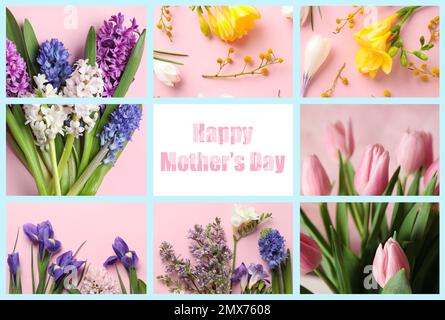 Collage mit Fotos von wunderschönen Blumen und Text Happy Mother's Day Stockfoto