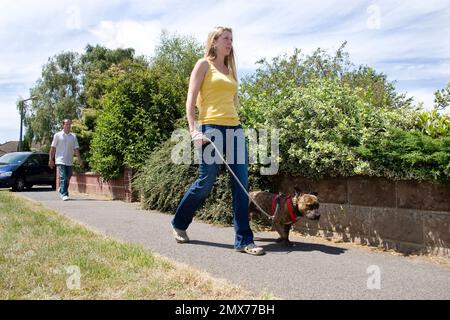 blonde Frau, die ihre Staffordshire Bul Terrier in Straße mit Mann nach hinten Stockfoto