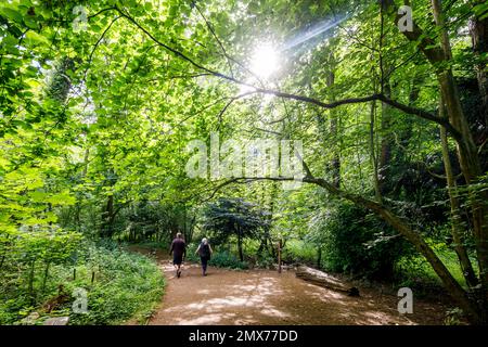 Blunsdon & Swindon Fotografie In Der Umgebung Stockfoto