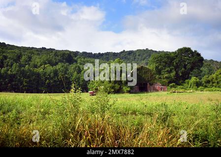 Landschaftsbild einer roten, hölzernen Scheune, bedeckt mit Efeu, am Fuße der Appalachen. Stockfoto