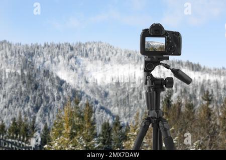 Wunderschöne Aussicht auf verschneiten Wald mit einer professionellen Videokamera aufnehmen Stockfoto