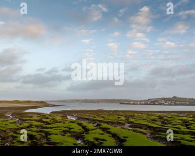 Die Stadt Appledore aus Skern, Northam Burrows, Devon, Großbritannien. Stockfoto