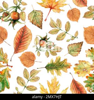 Wasserfarbenes, nahtloses Muster im Herbst. Von Hand gezeichnete Textur mit roten, gelben und orangefarbenen Blättern. Schöne Tapete mit Zweig. Stockfoto