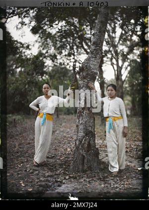 Saigon, Cochinchina, Indochina, zwei junge Saigon-Frauen, auf der Unterseite, gestützt von einem Baum, Stockfoto