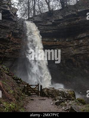 Hardraw, Großbritannien. 02. Februar 2023. Hardraw Force Waterfall Englands größter Wasserfall mit einem Tropfen, ein mutmaßlicher 100 Fuß Fall und liegt auf dem Gelände des historischen Green Dragon Inn ist nach einer Periode von starkem Regen im Hardraw Force Waterfall, Hardraw, Großbritannien, 2. Februar 2023 (Foto von Mark Cosgrove/News Images) In Hardraw, Vereinigtes Königreich, am 2/2/2023. (Foto: Mark Cosgrove/News Images/Sipa USA) Guthaben: SIPA USA/Alamy Live News Stockfoto