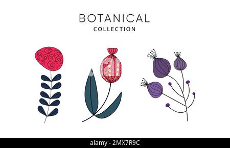 Ein Set handgezeichneter botaischer Designelemente. Stock Vektor