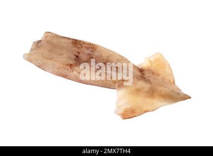 Quietschröhrchen. Frische Calamari-Steaks. Pacific Squid Filet. Auf weißem Hintergrund isoliertes Quidfilet. Meeresfrüchte. Stockfoto