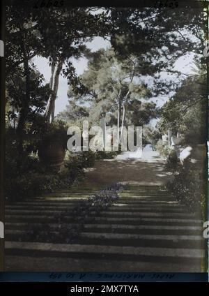 Cap Martin, Frankreich große Blumentreppe aus dem Garten der Villa Cypris mit Blick auf das Meer , 1927 - Cap Martin - Auguste Léon - (März - April) Stockfoto