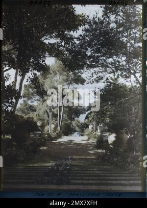 Cap Martin, Frankreich große Blumentreppe aus dem Garten der Villa Cypris mit Blick auf das Meer , 1927 - Cap Martin - Auguste Léon - (März - April) Stockfoto