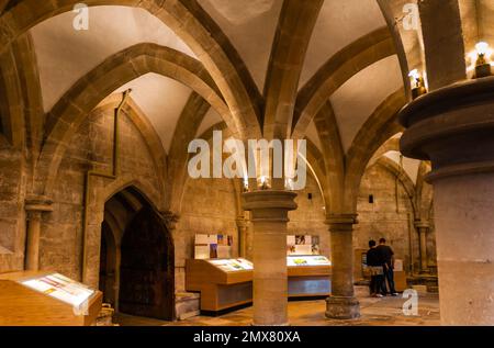 Wells Cathedral in Somerset. Die Ventilatordecke. Stockfoto