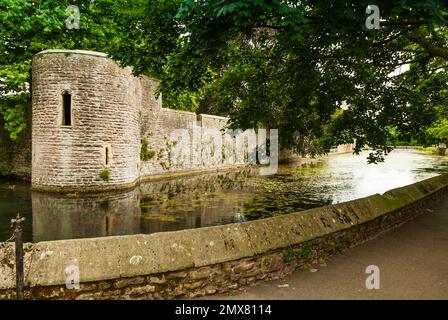 Wells Cathedral in Somerset. Der Graben. Stockfoto